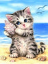 Cat on the Beach Painting Kit